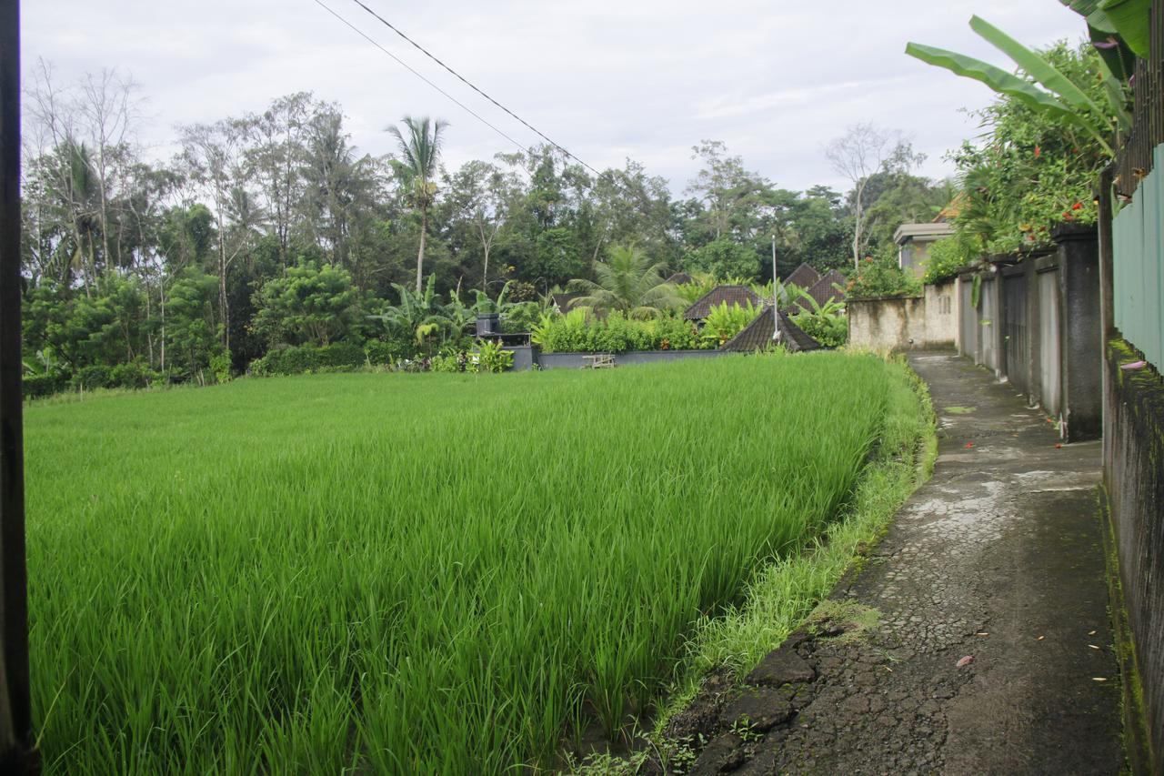 Ratna Villa 4 Ubud Eksteriør billede